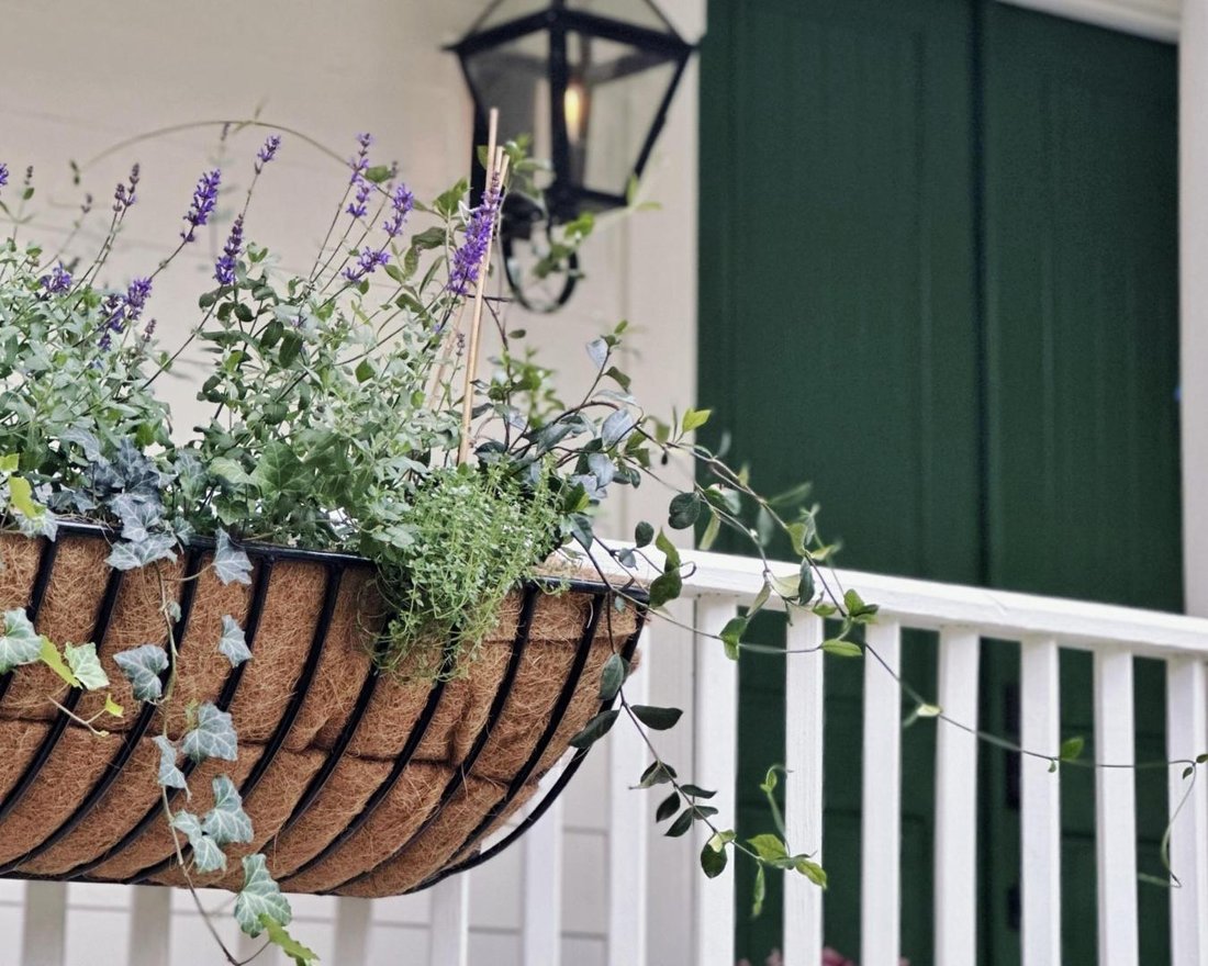 House in Charleston, South Carolina, United States 2 - 17521119