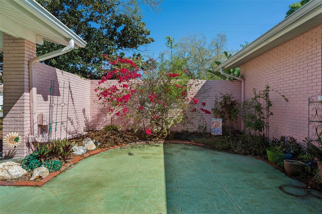House in Tampa, Florida, United States 4 - 17289505