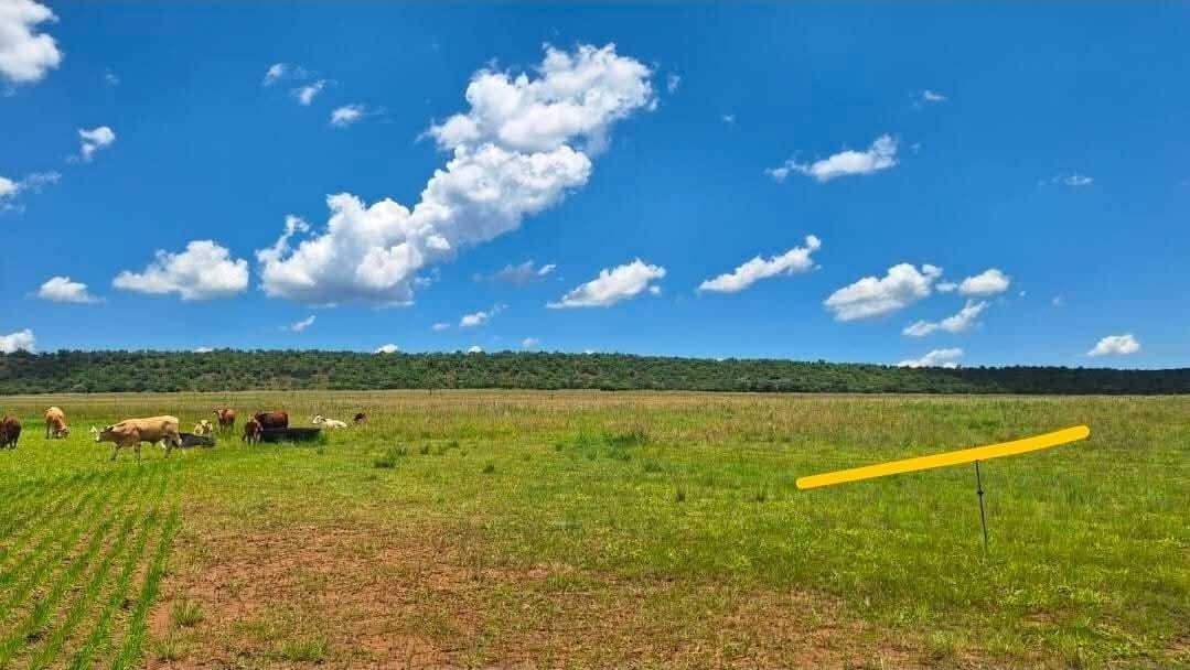 Farm Ranch in Modimolle, Limpopo, South Africa 3 - 17522950