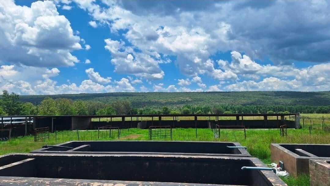 Farm Ranch in Modimolle, Limpopo, South Africa 5 - 17522950
