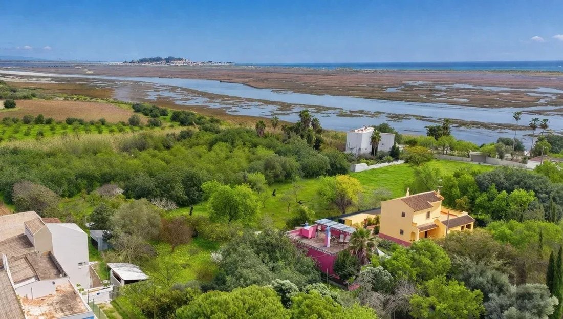 Farm Ranch in Luz de Tavira e Santo Estevao, Algarve, Portugal 2 - 17348923