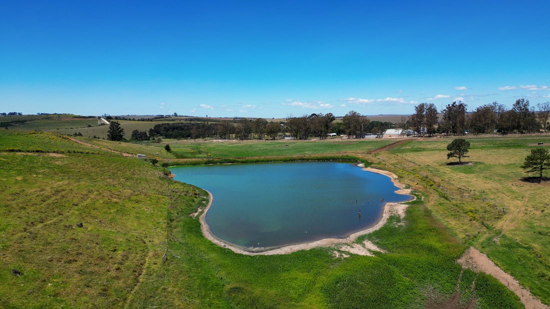 Farm Ranch in Stutterheim, Eastern Cape, South Africa 5 - 17522929