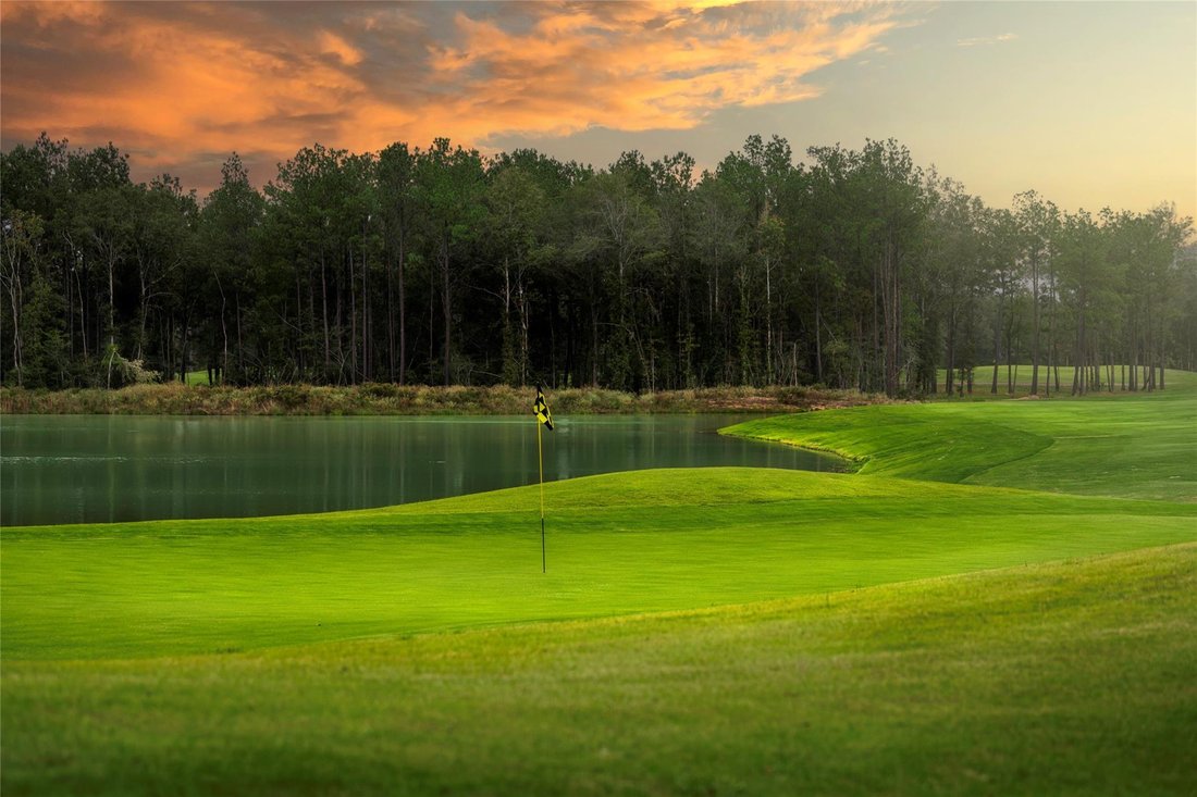 House in Porter, Texas, United States 3 - 17524348
