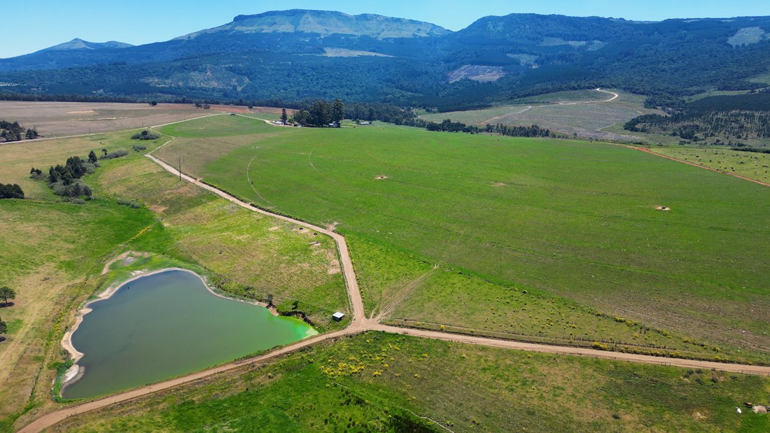 Farm Ranch in Stutterheim, Eastern Cape, South Africa 1 - 17522929