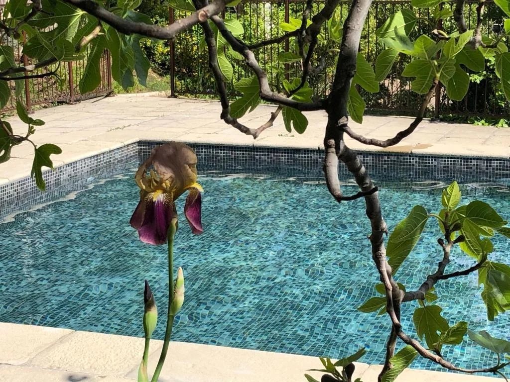 Villa in Aups, Provence-Alpes-Côte d'Azur, France 5 - 17519596