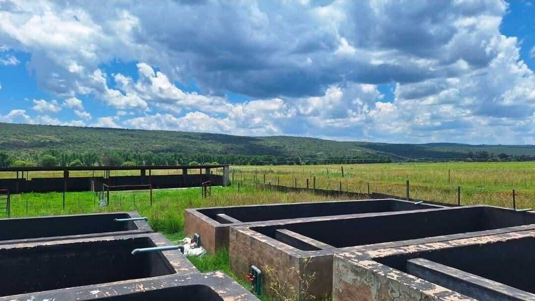Farm Ranch in Modimolle, Limpopo, South Africa 1 - 17522950