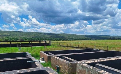 Farm Ranch in Modimolle, Limpopo, South Africa 1