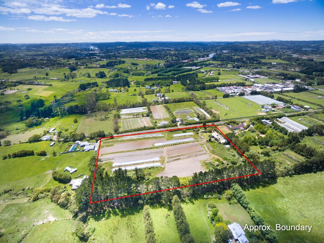 House in Auckland, Auckland, New Zealand 2 - 17525353