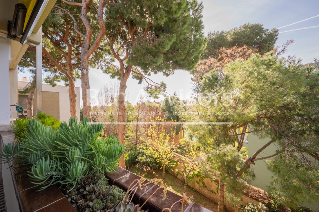 Apartment in Les Corts, Barcelona, Spain 3 - 15876748