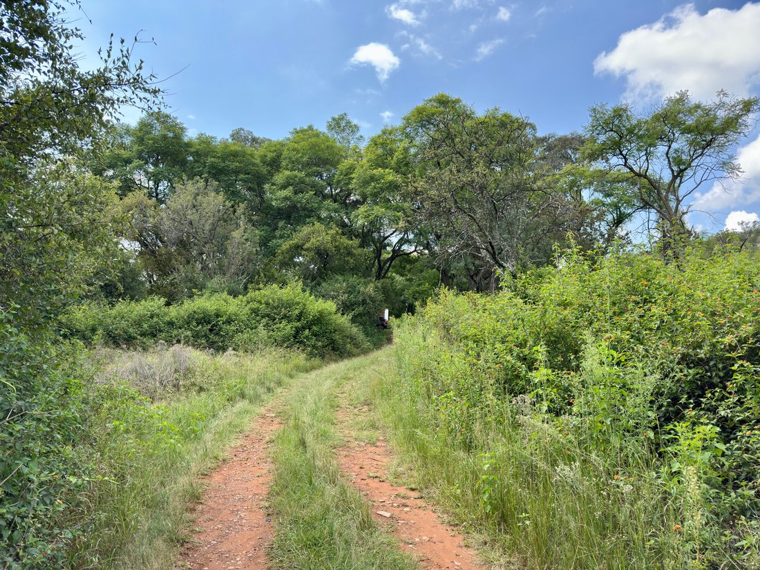 Farm Ranch in Pretoria North, Gauteng, South Africa 5 - 17522977