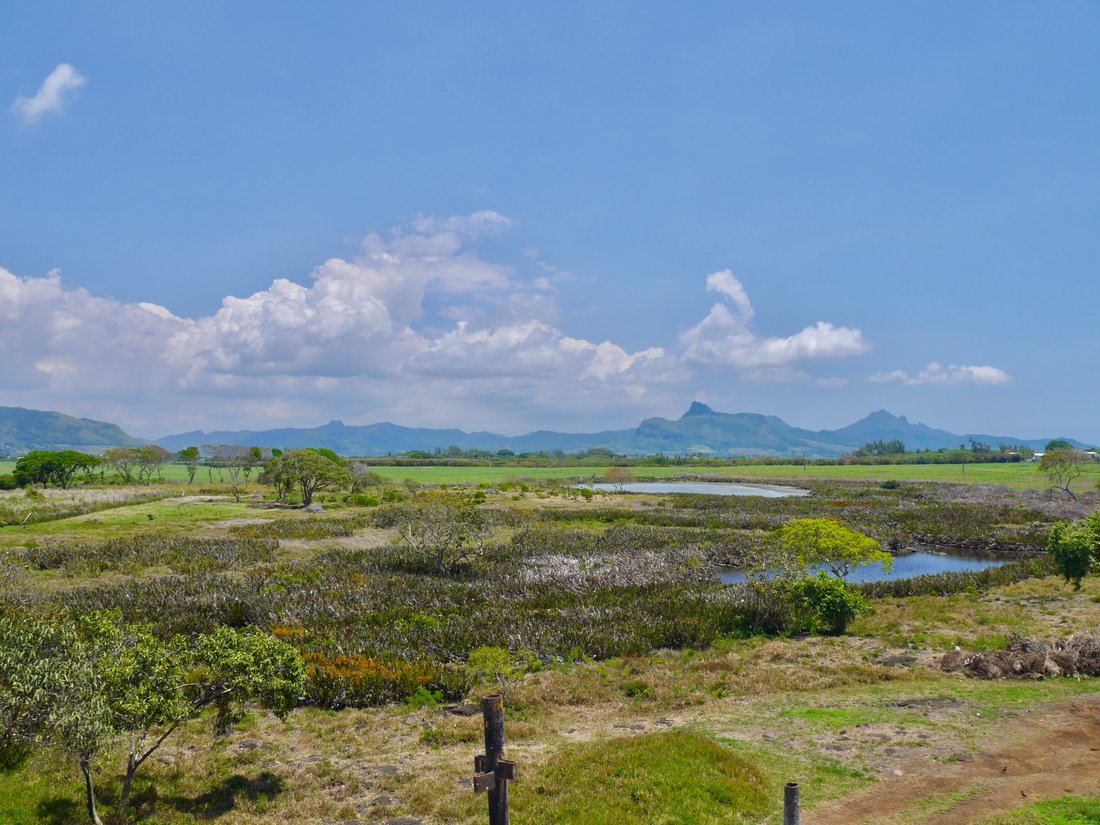 Villa in Pointe d'Esny, Grand Port District, Mauritius 5 - 17522975