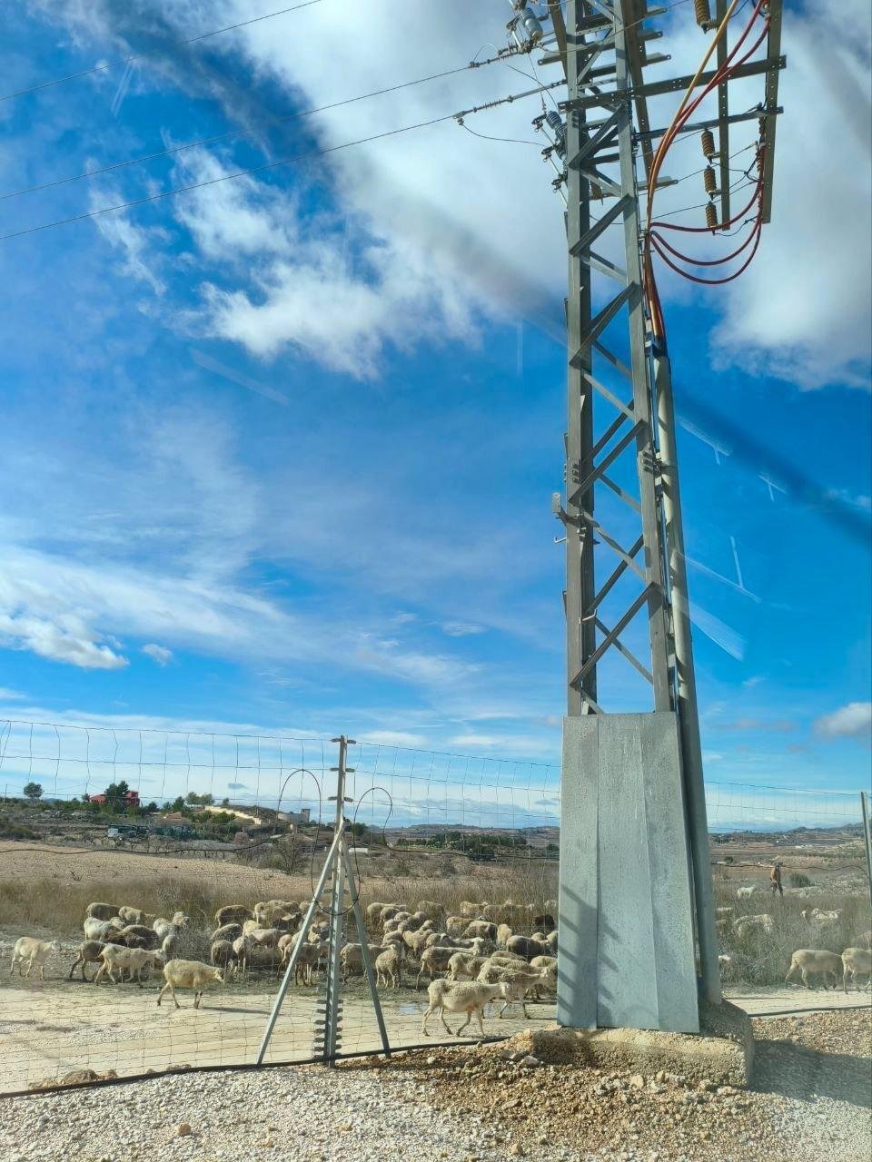 Land in Algorfa, Valencian Community, Spain 2 - 17524643