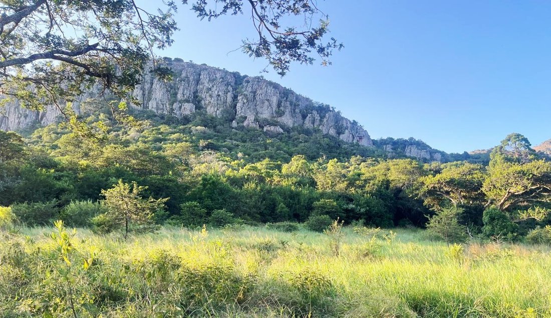 Farm Ranch in Kareeberg Local Municipality, Northern Cape, South Africa 2 - 17522969