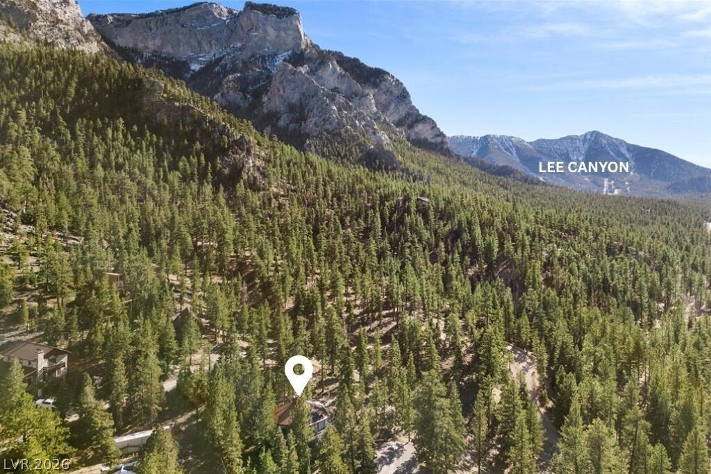 House in Mount Charleston, Nevada, United States 2 - 17519355