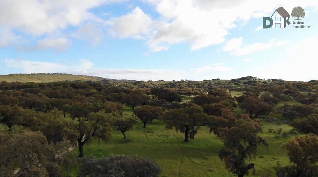 Terreno a Badajoz, Estremadura, Spagna 4 - 17523787