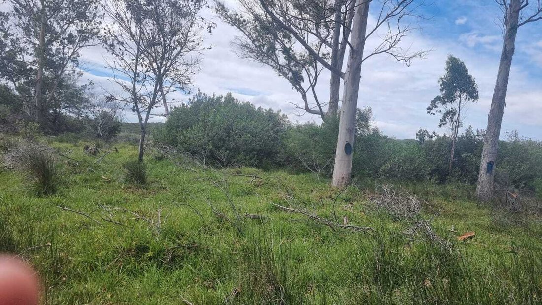 Farm Ranch in Albertinia, Western Cape, South Africa 2 - 17522928