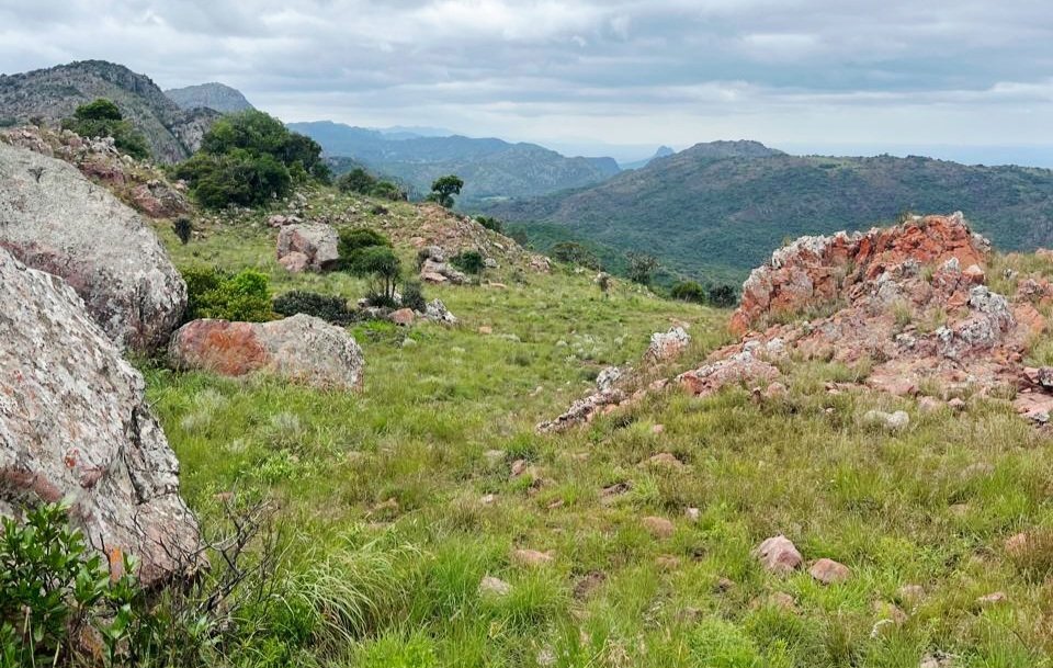 Farm Ranch in Kareeberg Local Municipality, Northern Cape, South Africa 3 - 17522969
