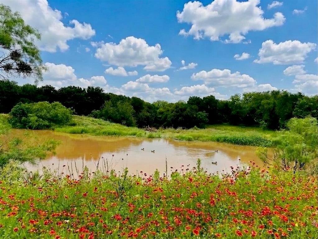 House in Early, Texas, United States 4 - 17522082