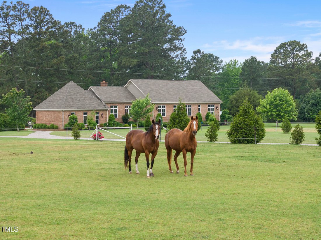 House in Castalia, North Carolina, United States 1 - 17520056