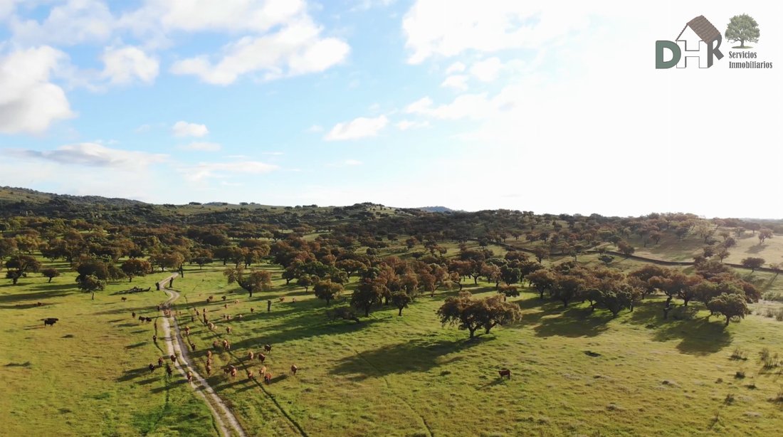 Terreno a Badajoz, Estremadura, Spagna 3 - 17523787