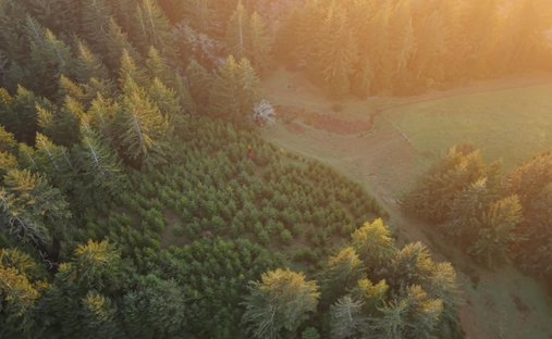 House in Langlois, Oregon, United States 1