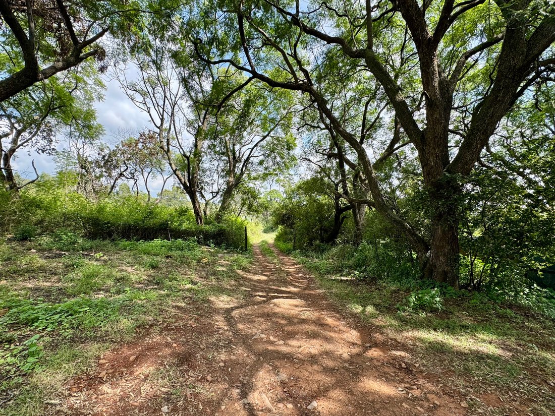 Farm Ranch in Pretoria North, Gauteng, South Africa 4 - 17522977