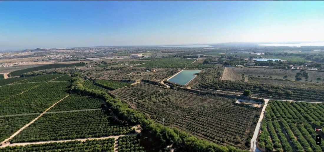 Land in Algorfa, Valencian Community, Spain 3 - 17524630
