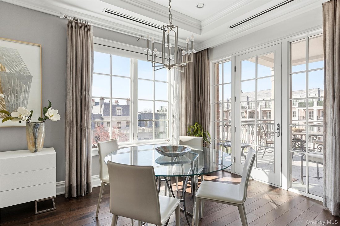 Condo in North Hills, New York, United States 2 - 17519860