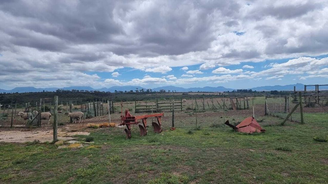 Farm Ranch in Albertinia, Western Cape, South Africa 1 - 17522928