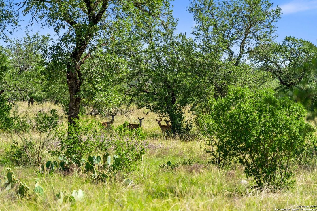 Land in Johnson City, Texas, United States 4 - 17523452