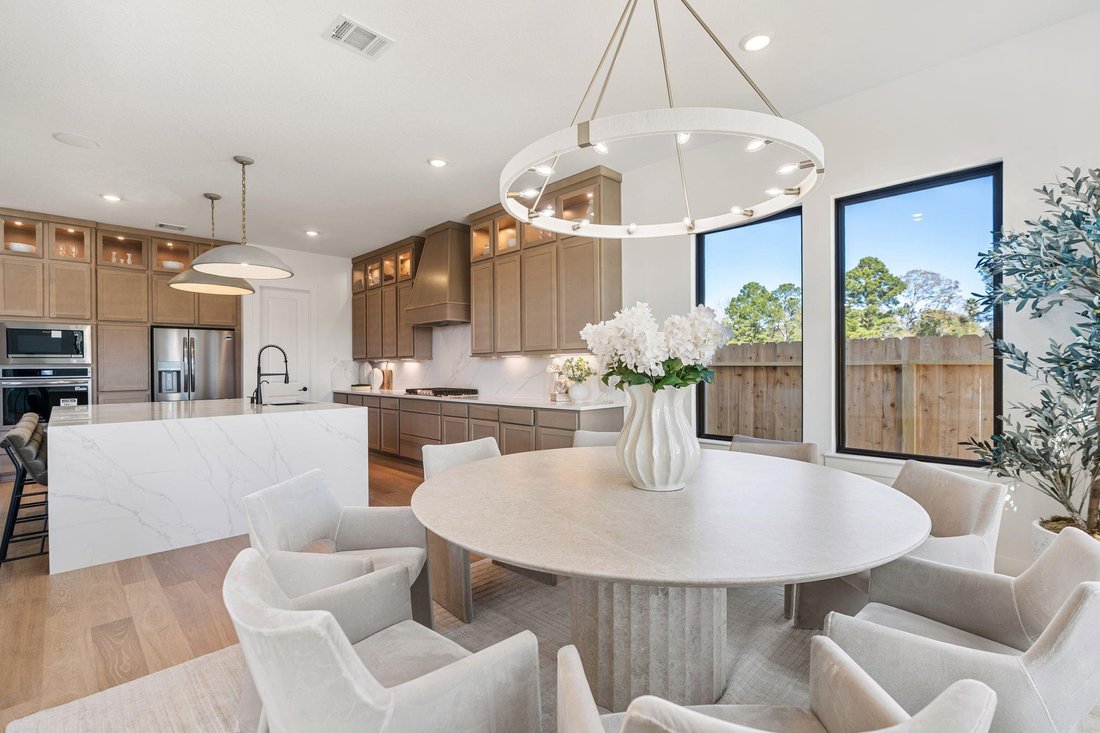 House in Alvin, Texas, United States 5 - 17522737