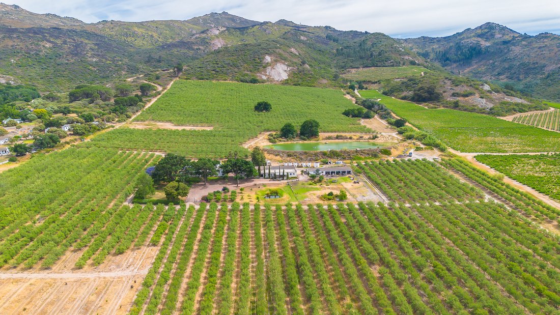 Farm Ranch in Southern Paarl, Western Cape, South Africa 4 - 17522810