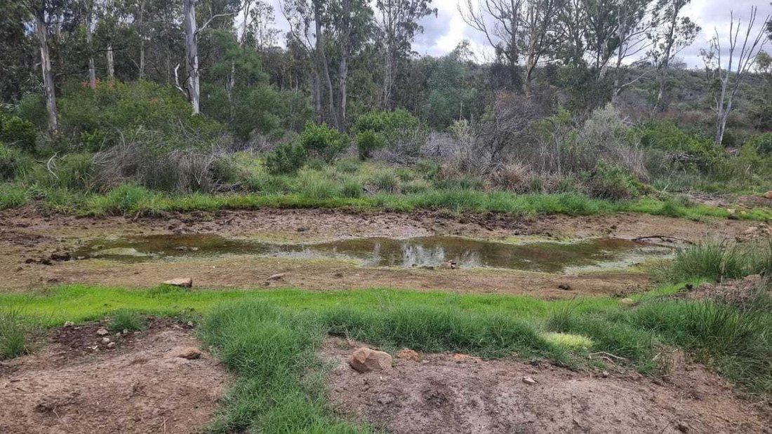 Farm Ranch in Albertinia, Western Cape, South Africa 4 - 17522928