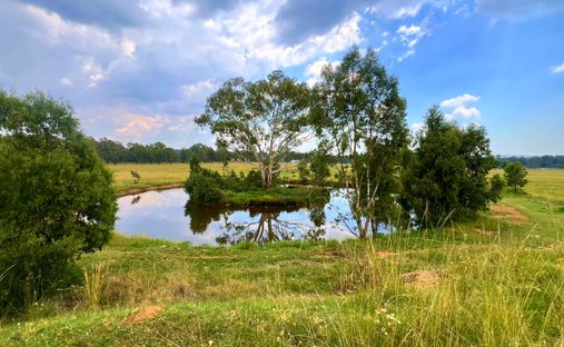 Azienda agricola a De Deur, Gauteng, Sudafrica 1