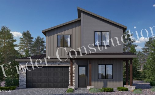 House in Flagstaff, Arizona, United States 1