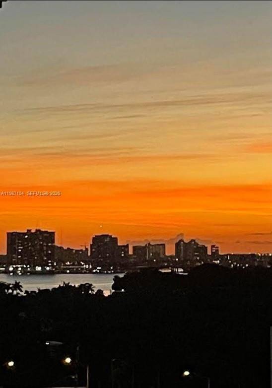Condo in Miami Beach, Florida, United States 4 - 17520294