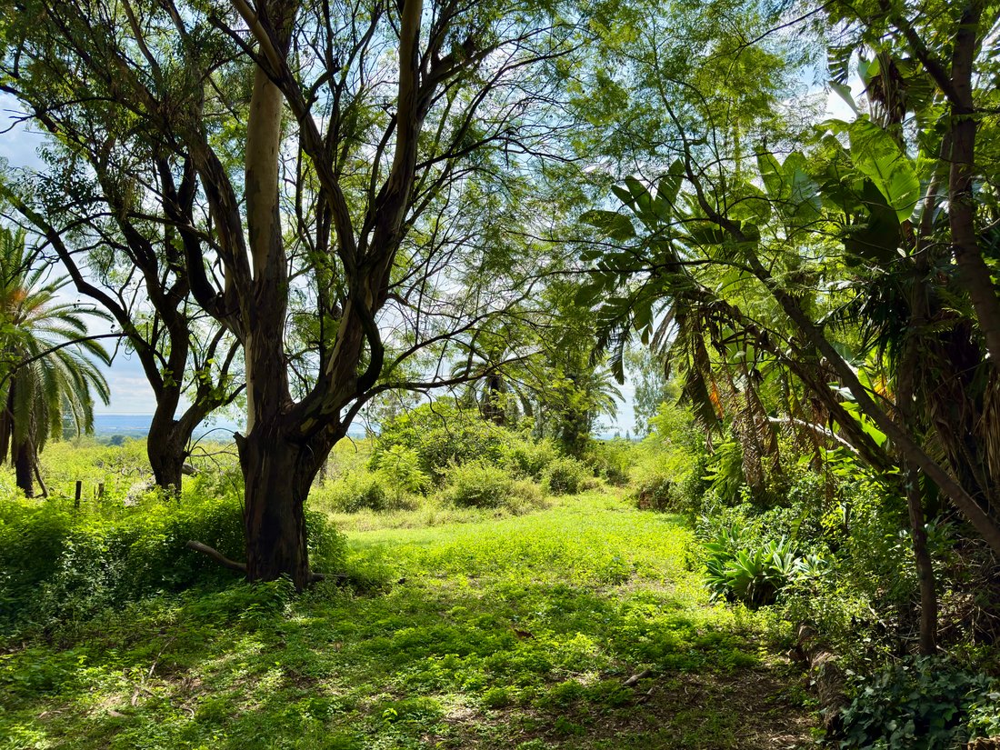 Farm Ranch in Pretoria North, Gauteng, South Africa 3 - 17522977