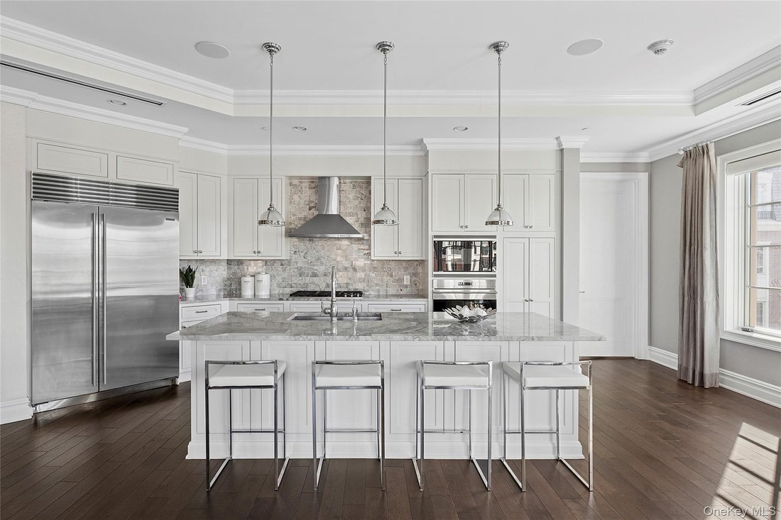 Condo in North Hills, New York, United States 3 - 17519860