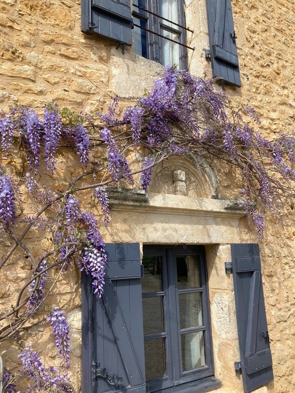 Farm Ranch in Sainte-Alvere, Val de Louyre et Caudeau, France 4 - 17338667
