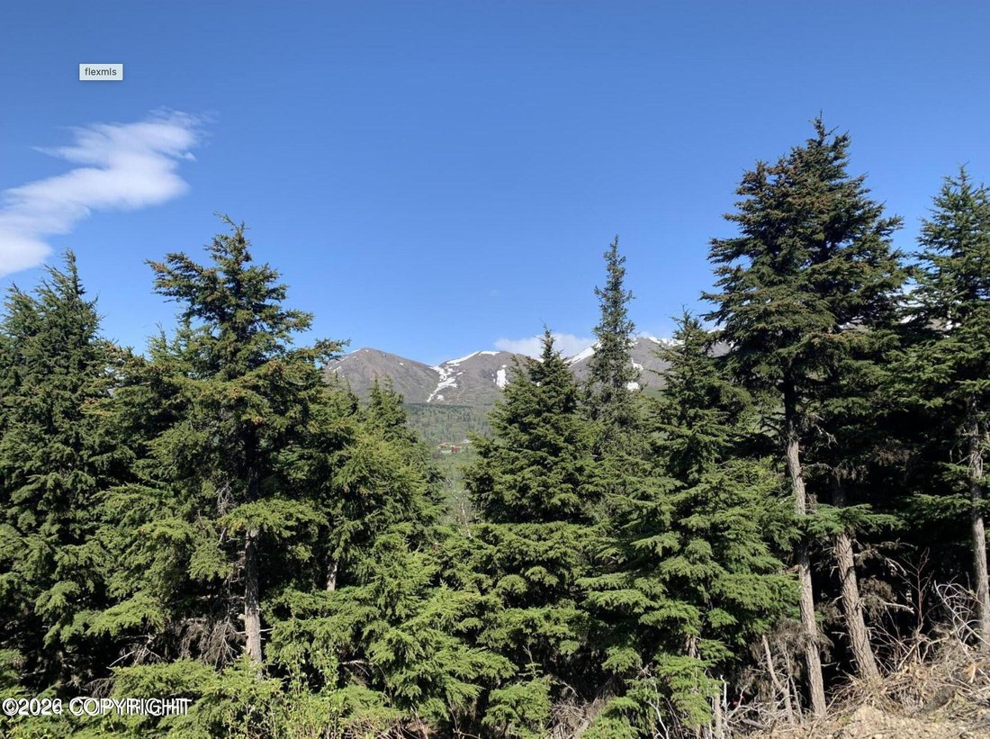 House in Anchorage, Alaska, United States 5 - 17523483
