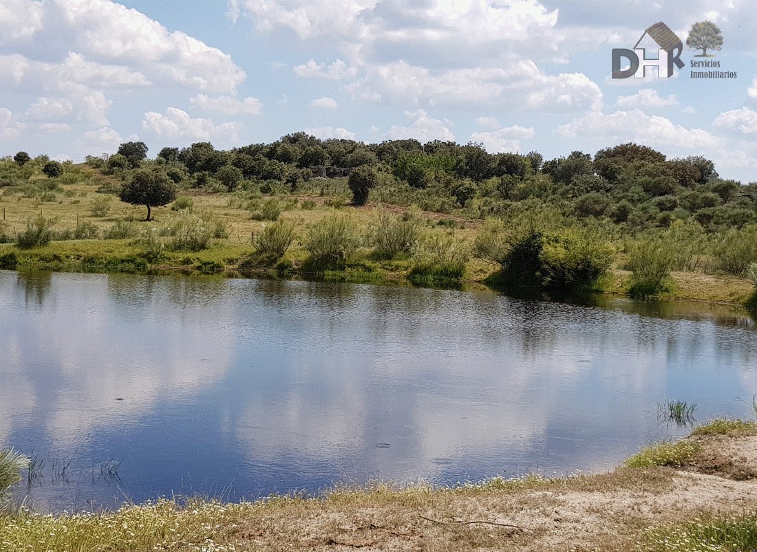 Terreno a Badajoz, Estremadura, Spagna 5 - 17523787