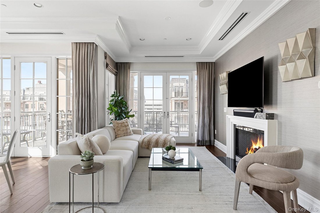 Condo in North Hills, New York, United States 1 - 17519860