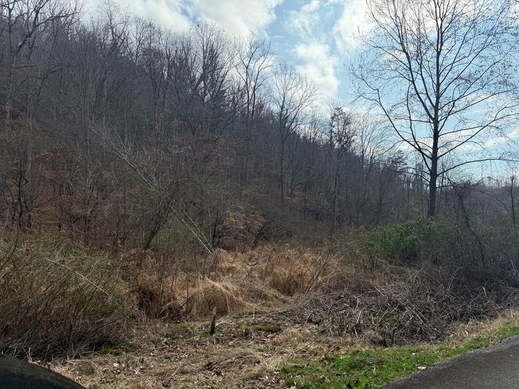 Land in Stambaugh, Kentucky, United States 2 - 17523055