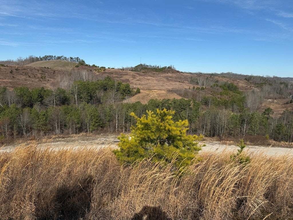 Land in Stambaugh, Kentucky, United States 4 - 17523055
