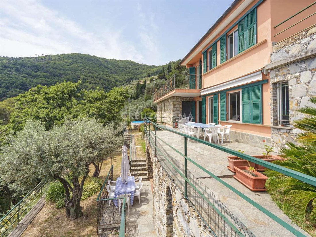 Villa in Center - Megli - Liceto, Recco, Liguria 3 - 17524552
