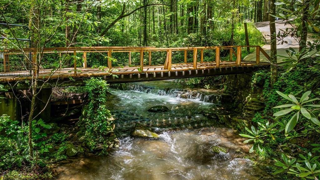 House in Ellijay, Georgia, United States 3 - 15831774