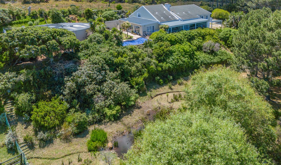 Country House in Crofters Valley, Cape Town, Western Cape 3 - 17522811