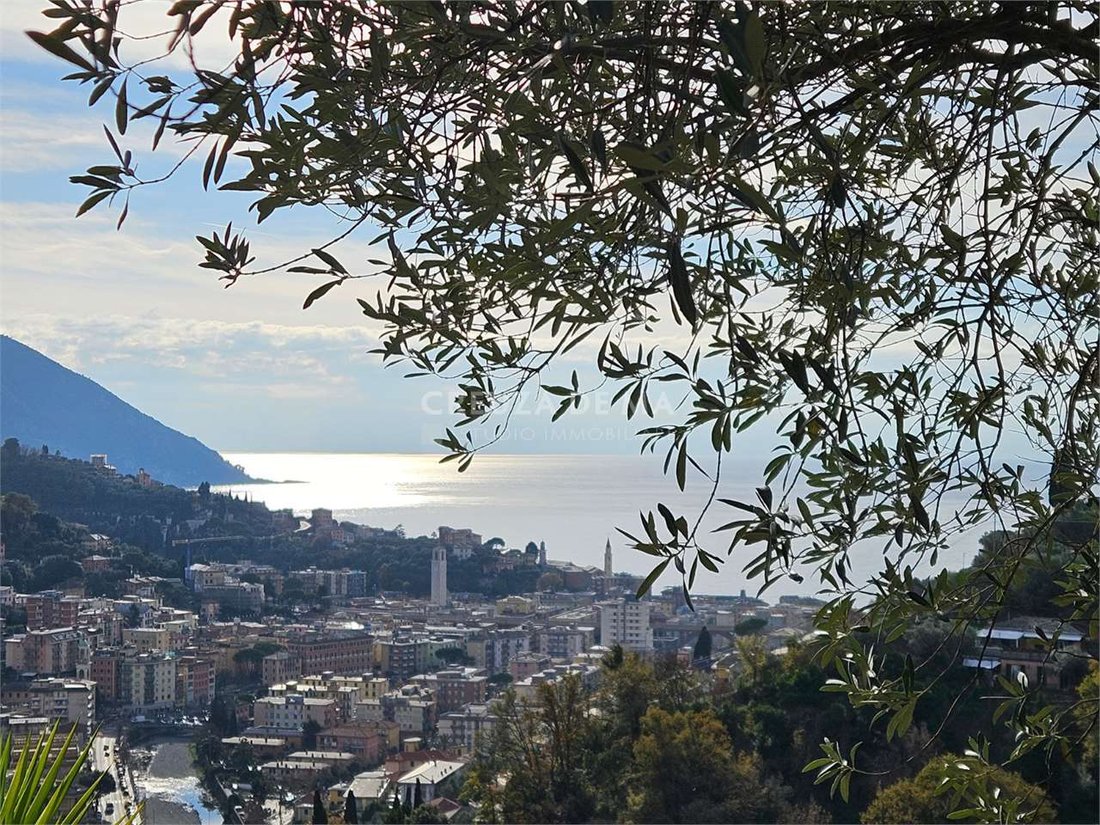 Villa in Center - Megli - Liceto, Recco, Liguria 2 - 17524552