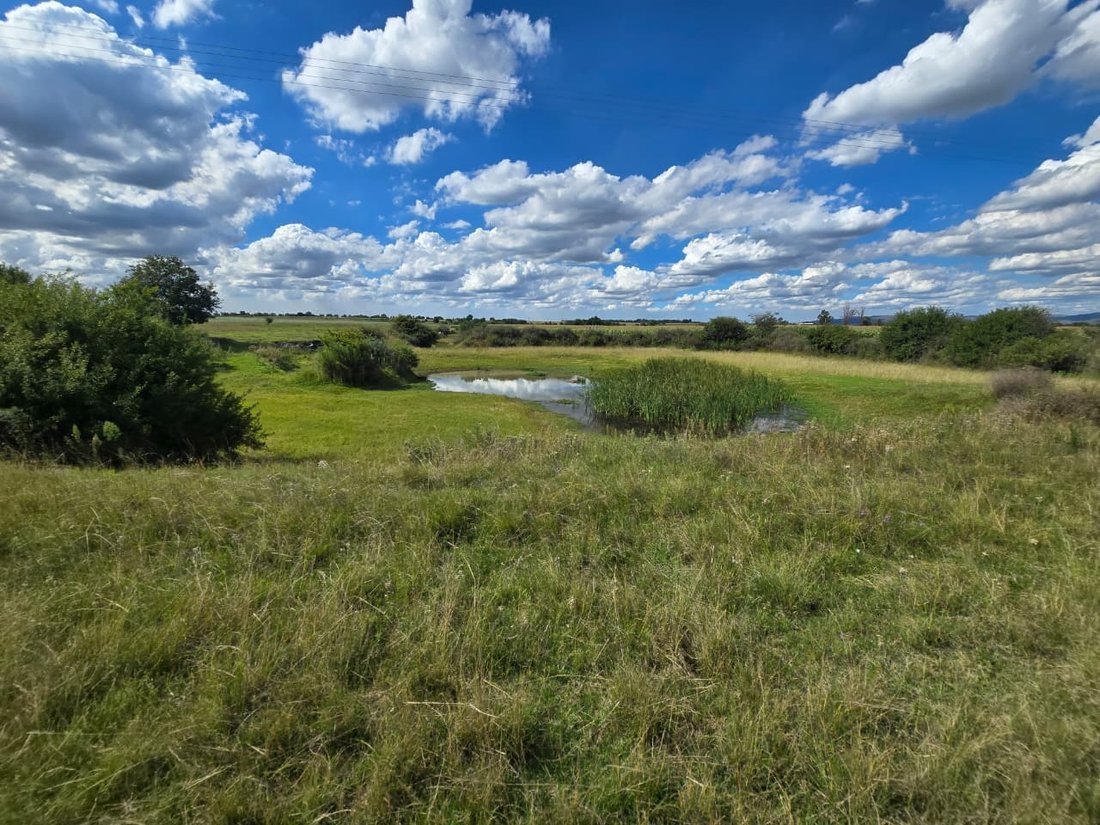 Farm Ranch in Riversdale, Vaal Marina, South Africa 2 - 17522933