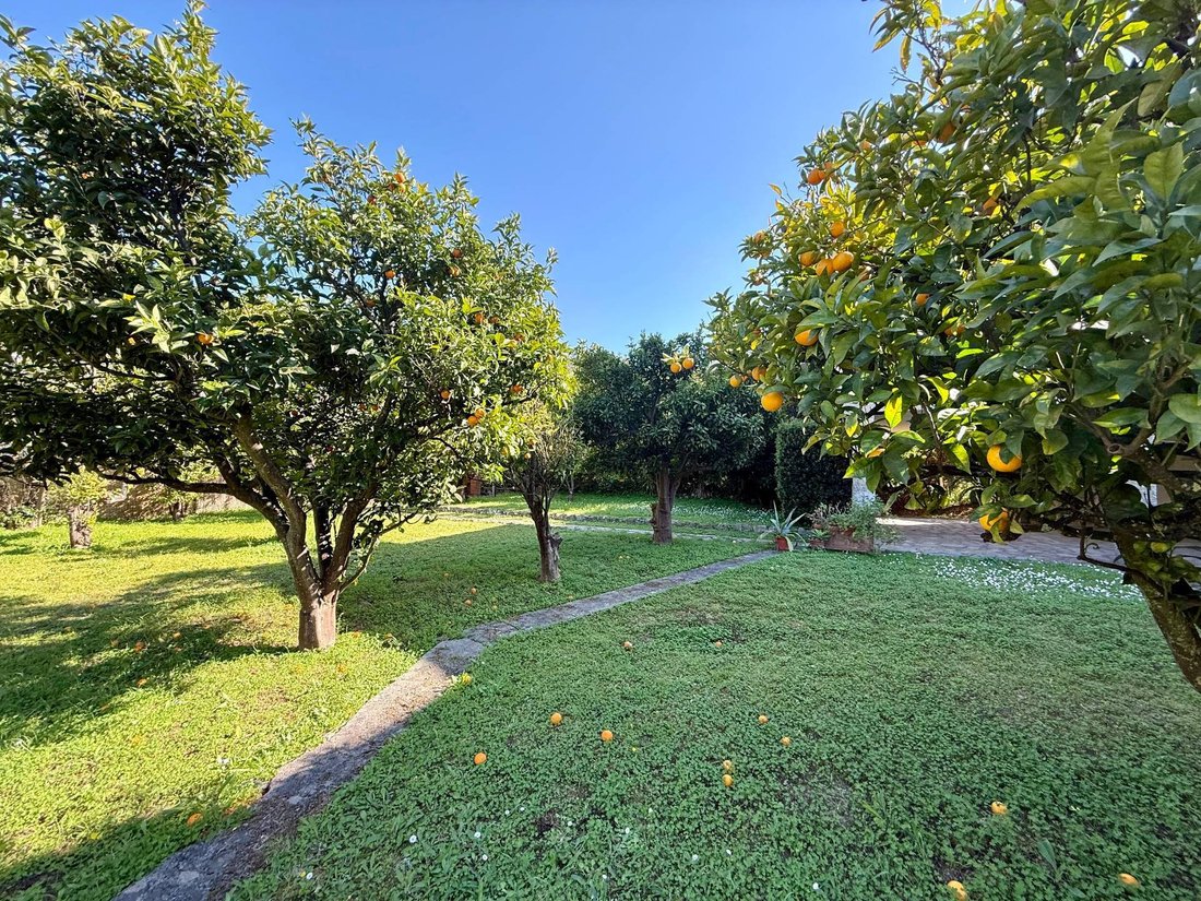 Villa in Porto Santo Stefano, Monte Argentario, Tuscany 2 - 17525172